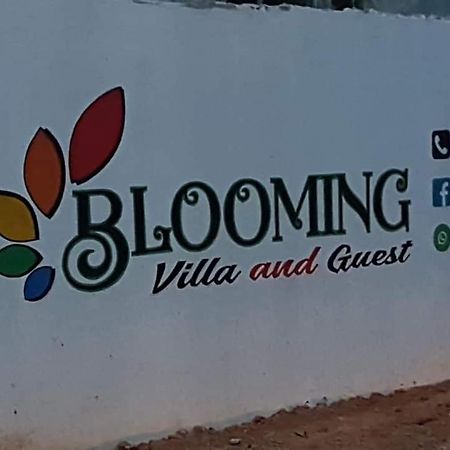 Blooming Villa & Guest Ματάρα Εξωτερικό φωτογραφία